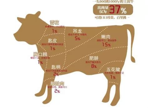 西冷意思|菲力、西冷、沙朗，你真的知道它们的区别吗？